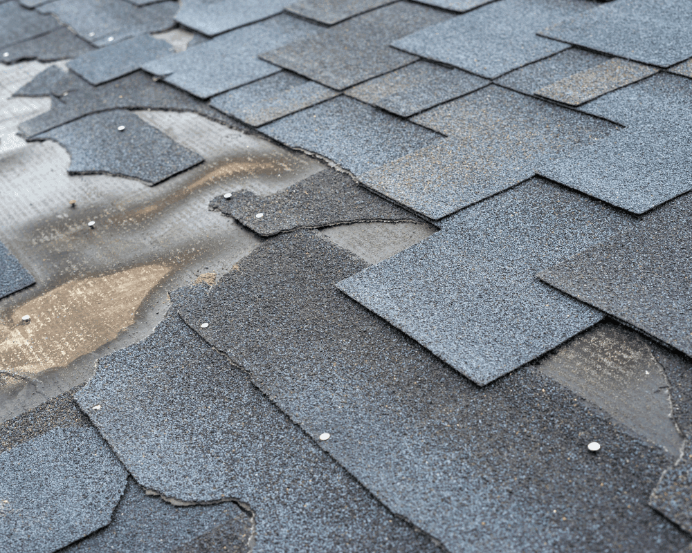 Roof Inspection Services