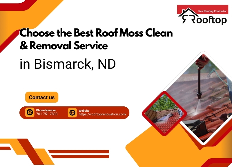 Choose the Best Roof Moss Clean & Removal Service in Bismarck, ND