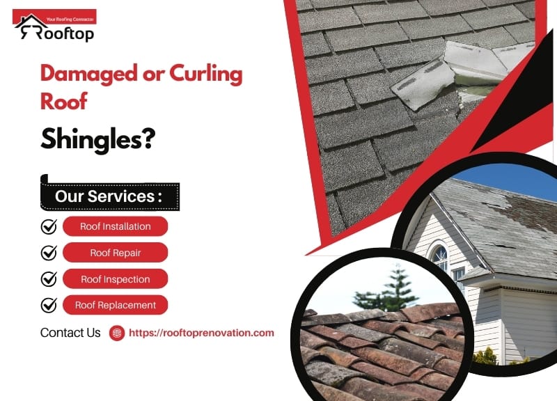 Damaged or Curling Roof Shingles? Here’s How to Identify and Fix Them