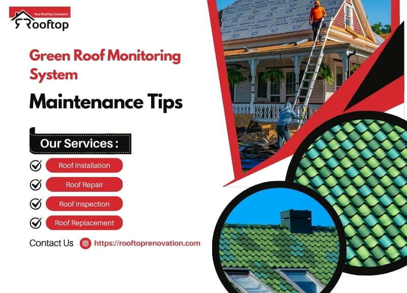 Green Roof Monitoring System Maintenance Tips Every Owner Should Know