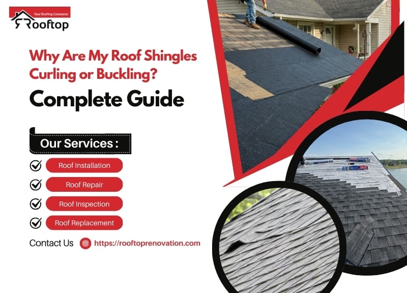 Why Are My Roof Shingles Curling or Buckling? Complete Guide