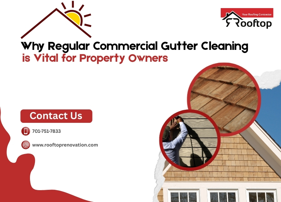 commercial gutter cleaning
