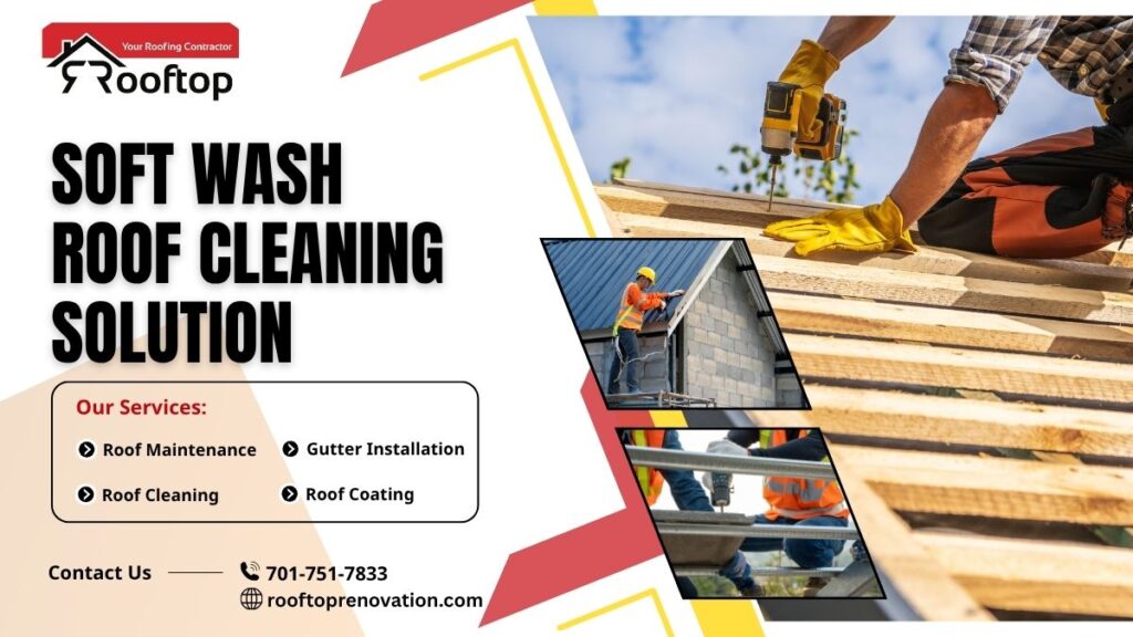 The Science Behind Soft Wash Roof Cleaning Solution and Why It Works So Well