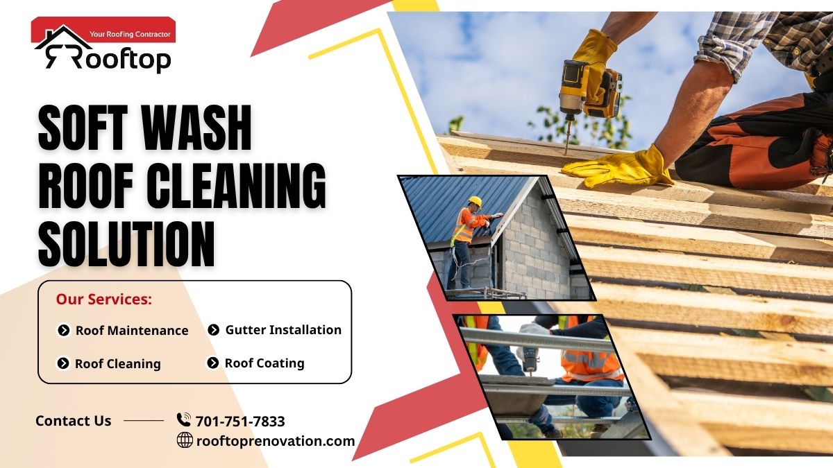 The Science Behind Soft Wash Roof Cleaning Solution and Why It Works So Well